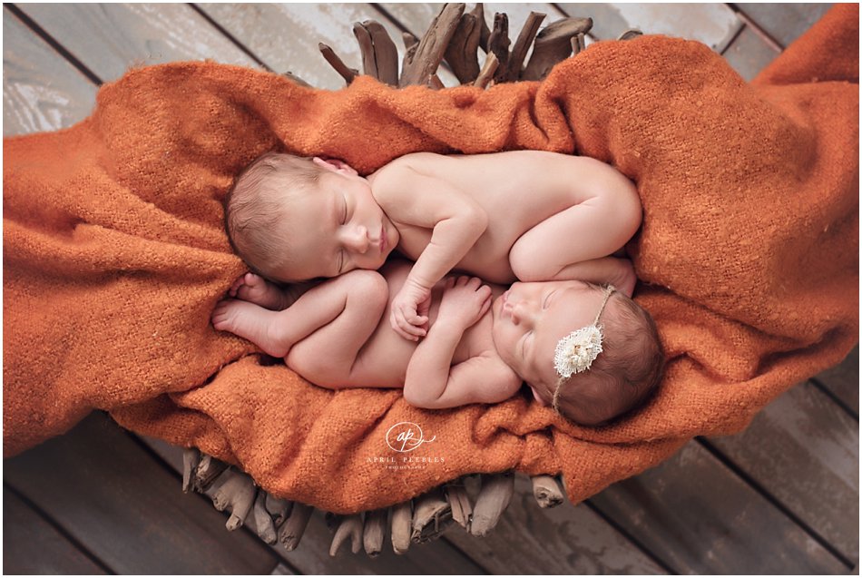 jacksonville newborn photographer