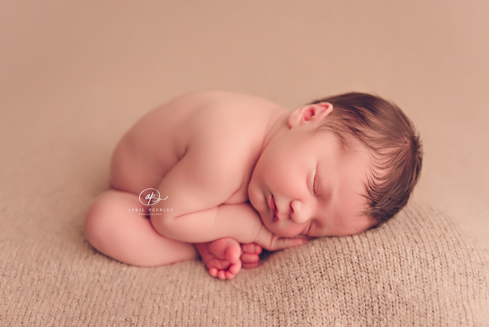 ponte vedra beach newborn photographer