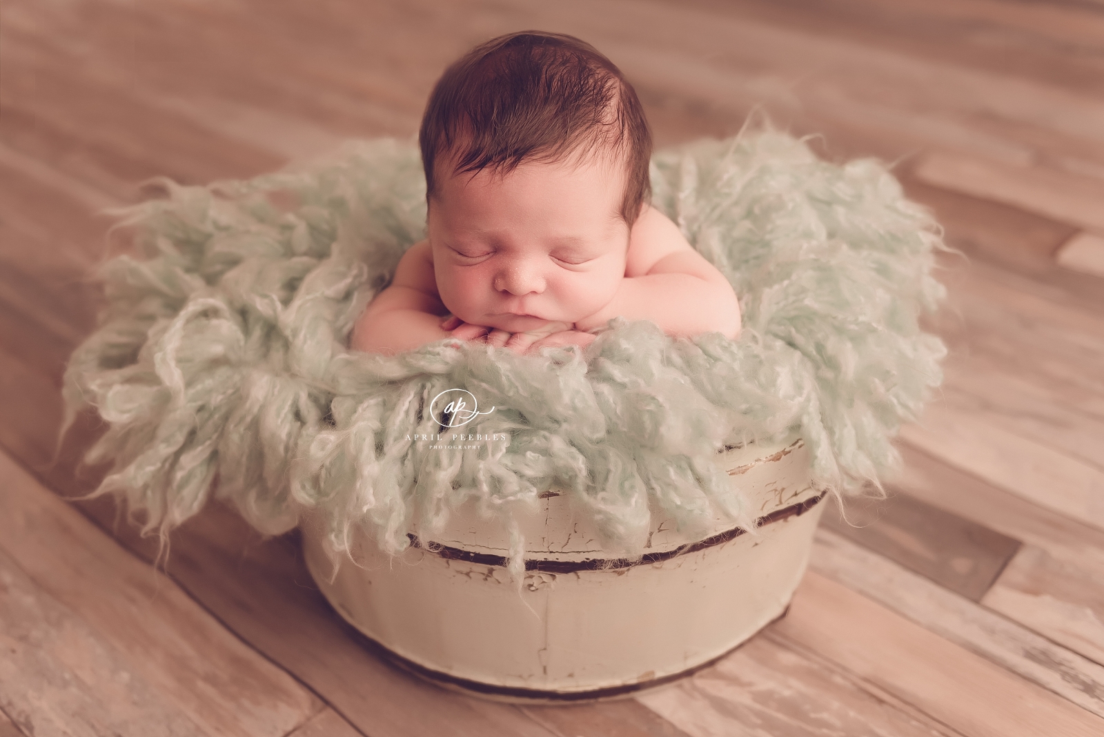 bucket prop newborn photography setup jacksonville, fl