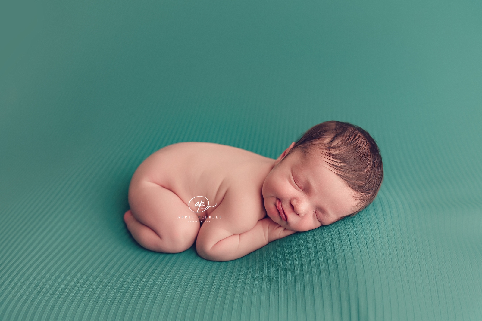 baby photographer jacksonville florida