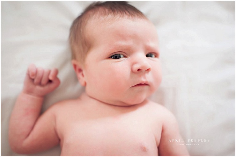 Jacksonville Newborn Photography