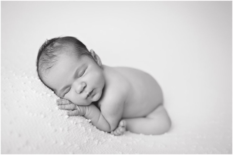 best florida newborn photography