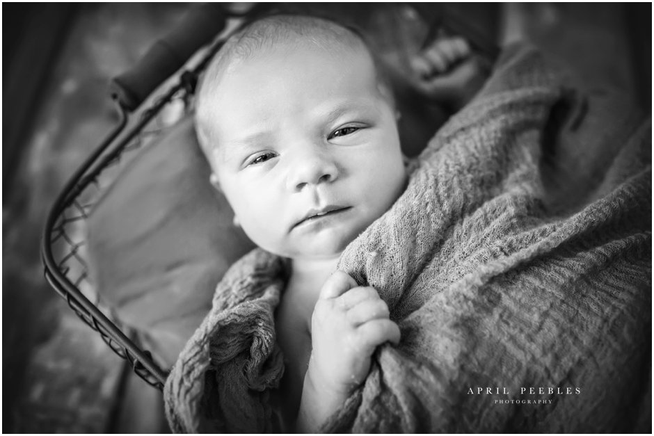 jacksonville-newborn-baby-photographer-fleming-island-1