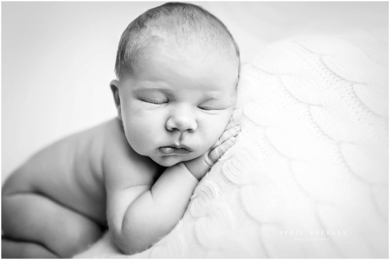 jacksonville florida newborn photography