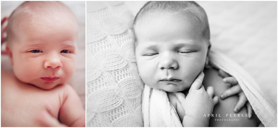 fleming island newborn photographer