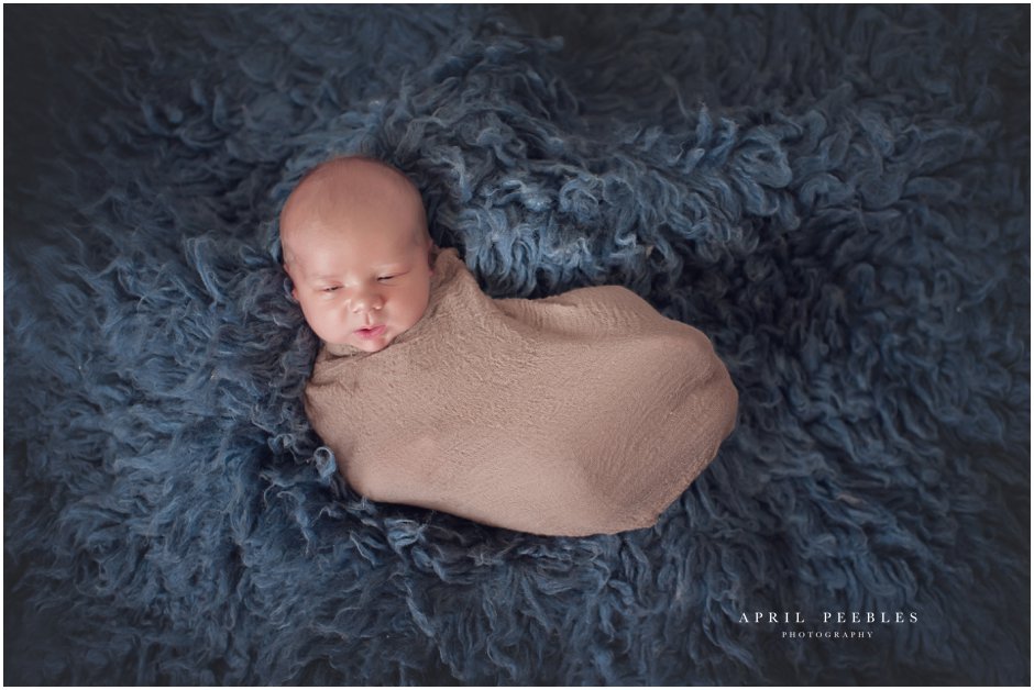 newborn baby studio and lifestyle photographer