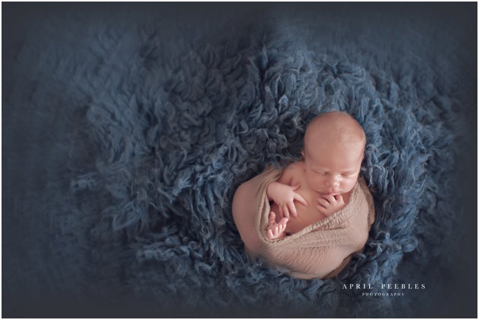 newborn-photos-in-jacksonville-fl