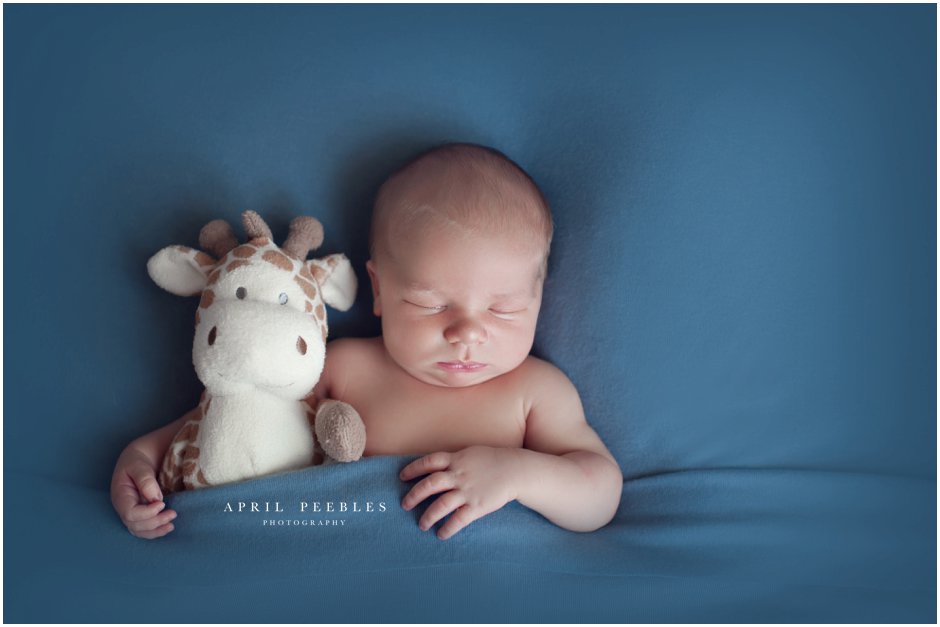 jacksonville-newborn-picture-stuffed-animal