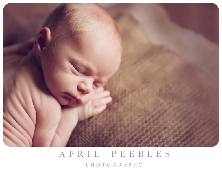 Best Newborn and Baby Photographer Jacksonville, FL