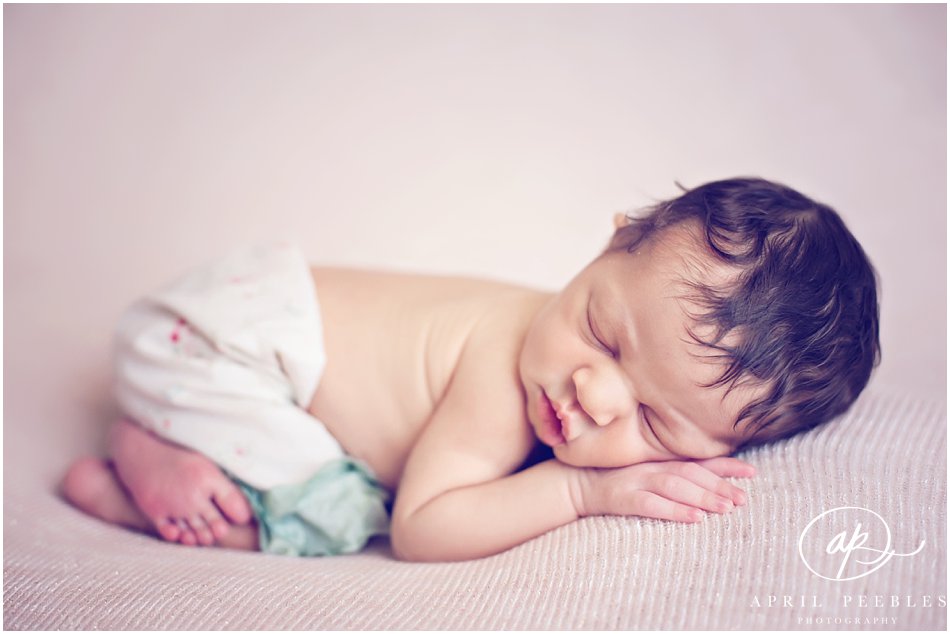 Jacksonville Florida Best Newborn Photographer