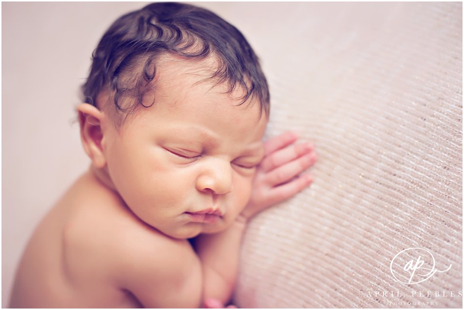 Jacksonville Florida Best Newborn Photographer