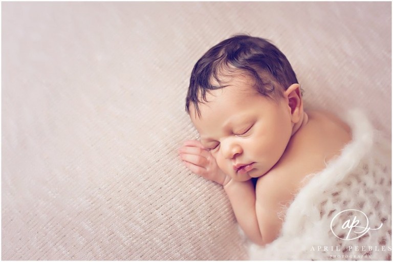 Jacksonville Florida Best Newborn Photographer