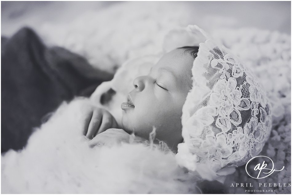 Jacksonville Florida Best Newborn Photographer