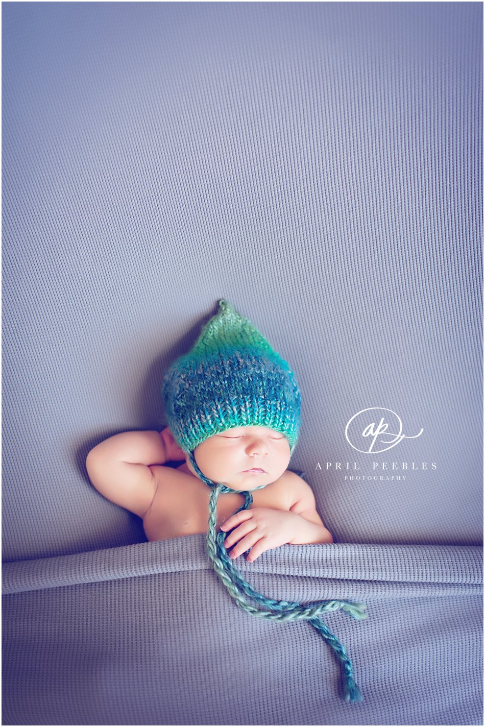 Jacksonville Newborn Photographer