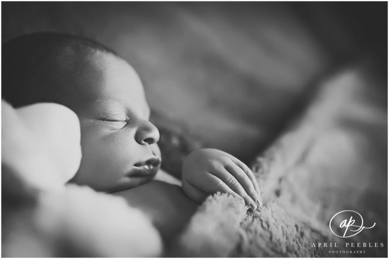 Newborn Photographer Fleming Island 2