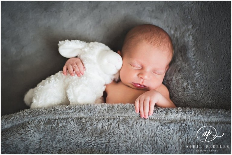 Newborn Photographer Fleming Island 2