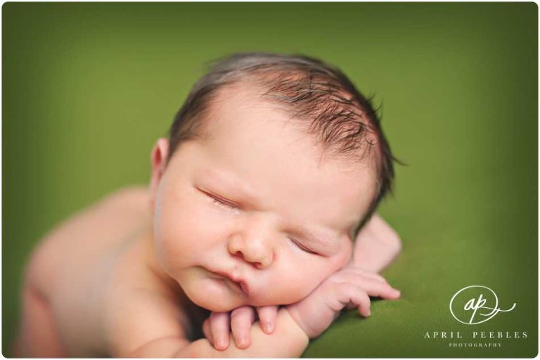 Posed Florida Newborn Photographer