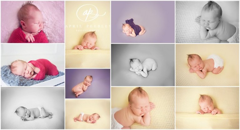 bright-posed-baby-portraits