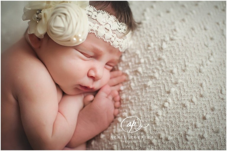 jacksonville fl newborn pictures