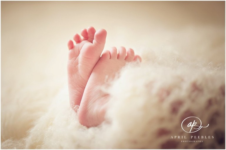 saint augustine florida newborn feet macro photo